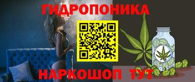 трава Анжеро-Судженск