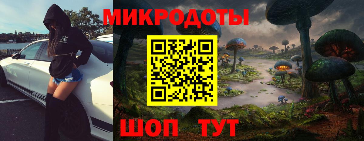Псилоцибиновые грибы мухоморы  Вход с VPN  Большой Камень  Псилоцибиновые грибы мухоморы 